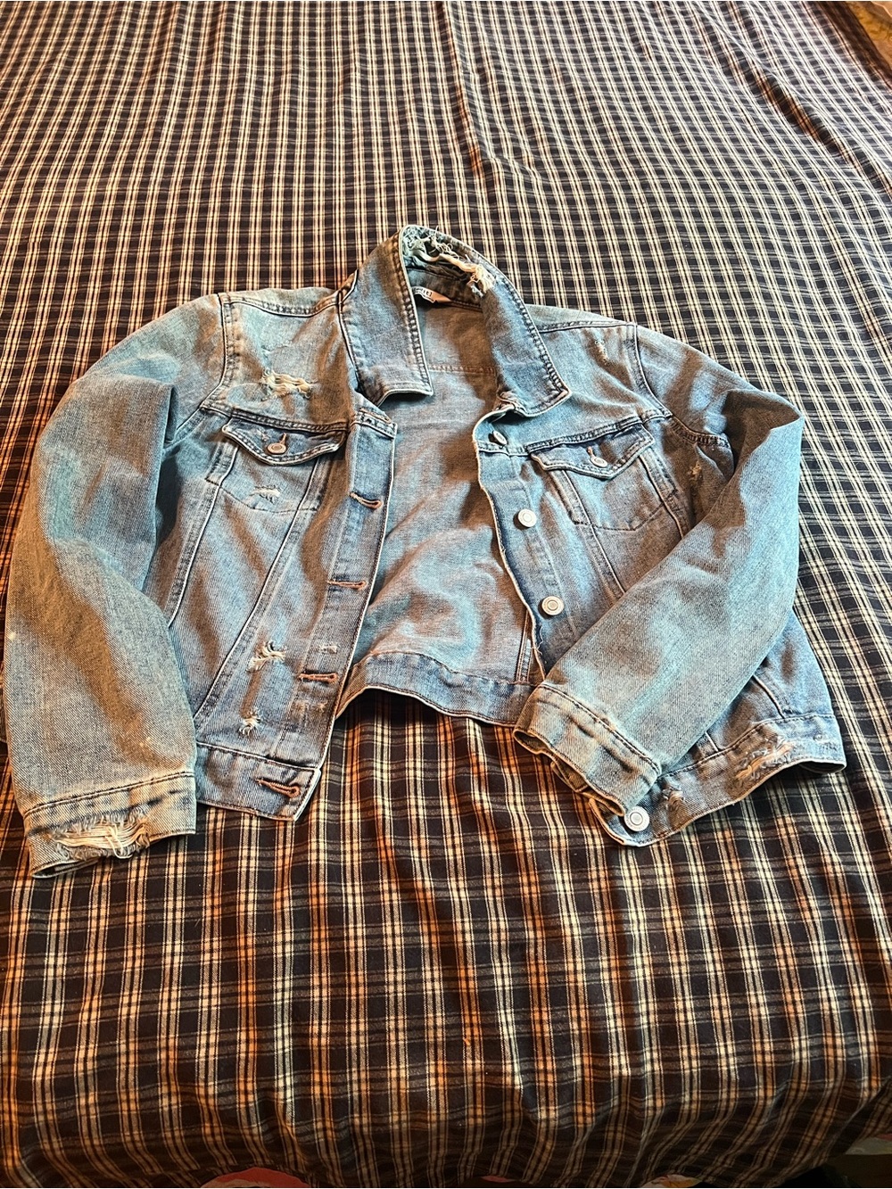 Light Wash Distressed Cropped Denim Jacket